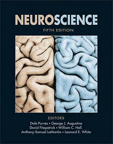 Neuroscience Purves 5th Edition PDF Download