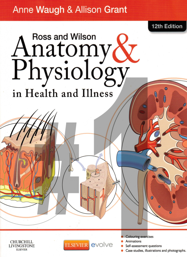 Ross And Wilson Anatomy And Physiology 12th Edition Pdf Knowdemia 3499