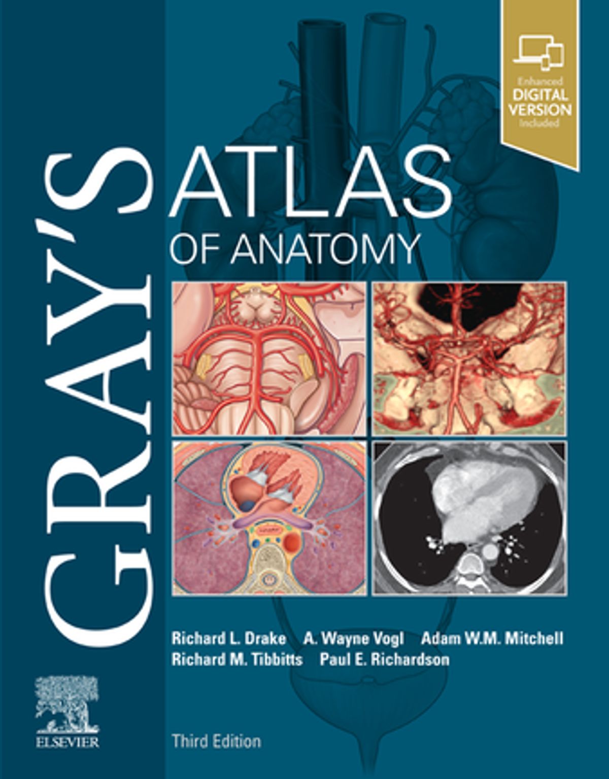 Download Gray's Atlas of Anatomy 3rd Edition PDF - Knowdemia