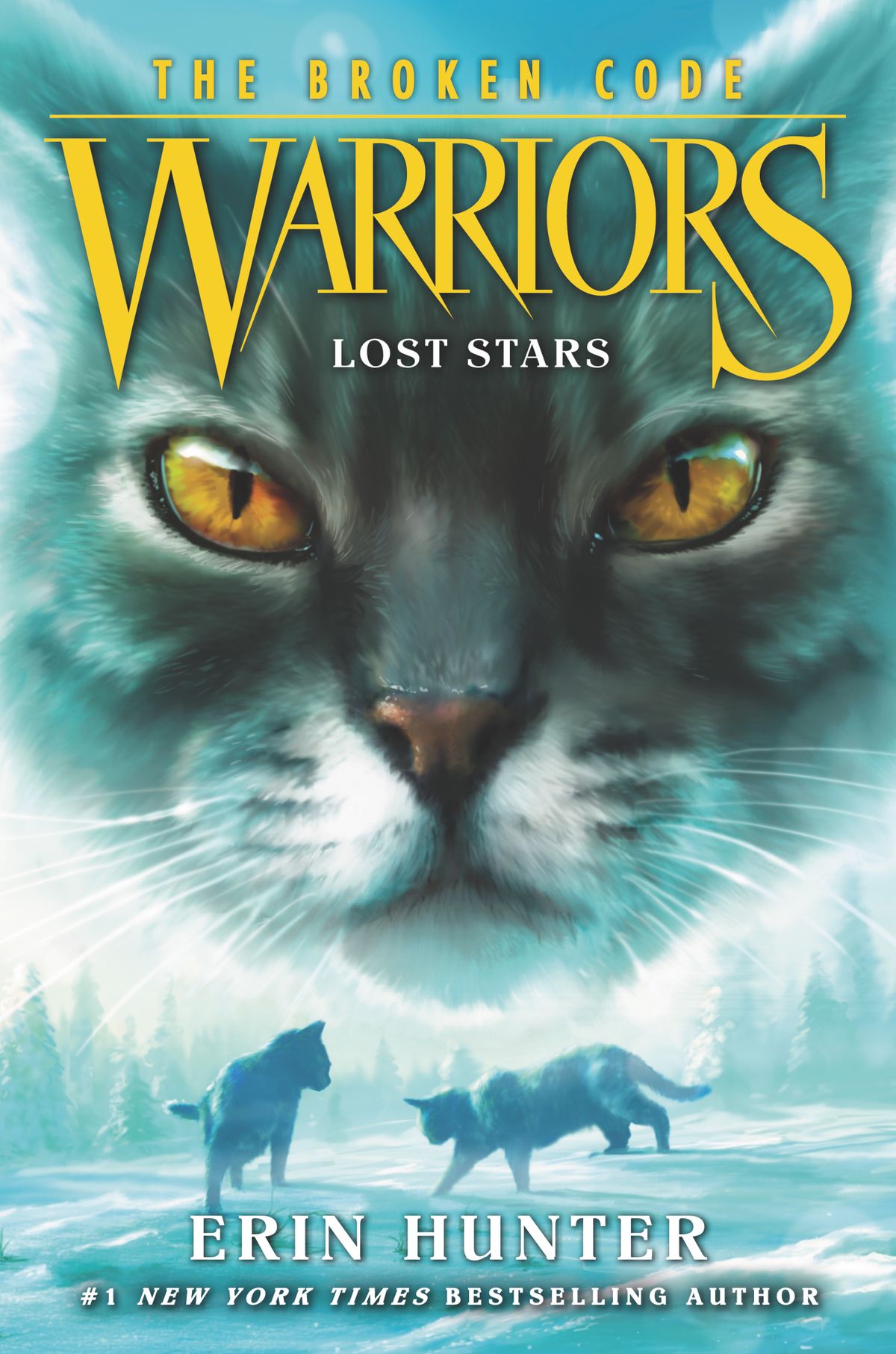 Warriors: The Broken Code #1: Lost Stars PDF