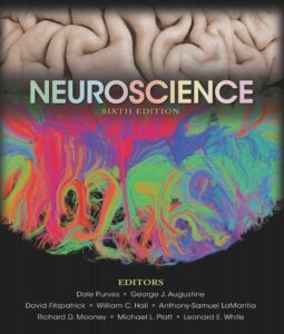 Neuroscience Purves 6th Edition PDF